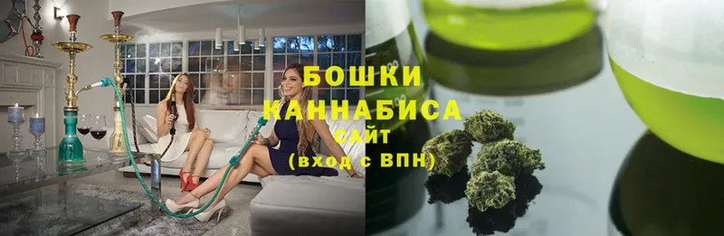 хочу наркоту  Волгореченск  Бошки Шишки White Widow 