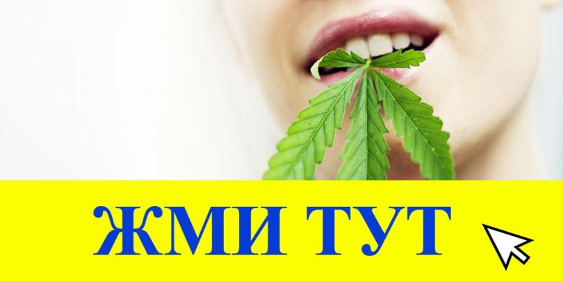 Купить наркотики в Волгореченске